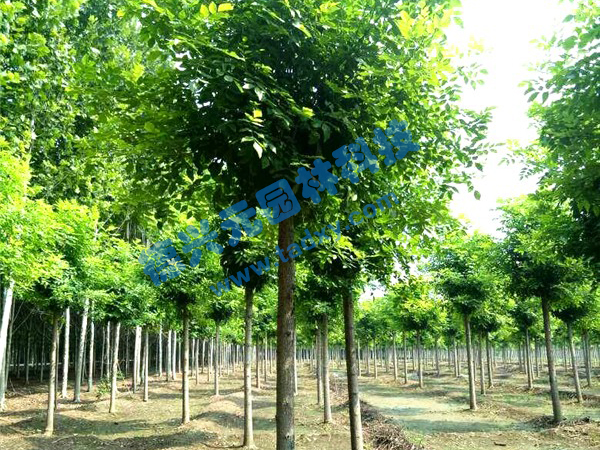 �c(di��n)���鿴Ԕ��(x��)��Ϣ��(bi��o)�}����Ϟ ��x�Δ�(sh��)��2220