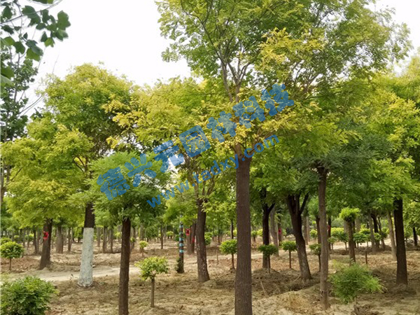 �c���鿴Ԕ����Ϣ���}�����~�� ��x�Δ���2188