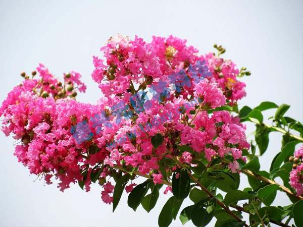 �c���鿴Ԕ����Ϣ���}����ޱ ��x�Δ���1820